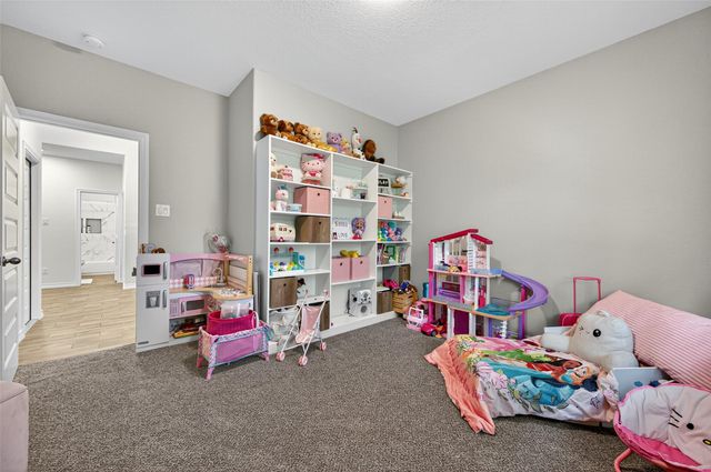 24530 Kildare Street, Hempstead, TX 77445