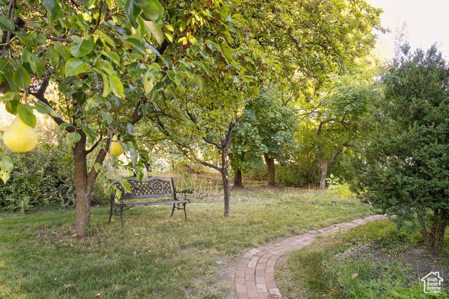 37 N 300 E, Richmond, UT 84333