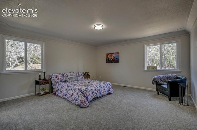 15049 La Jolla Place, Colorado Springs, CO 80921
