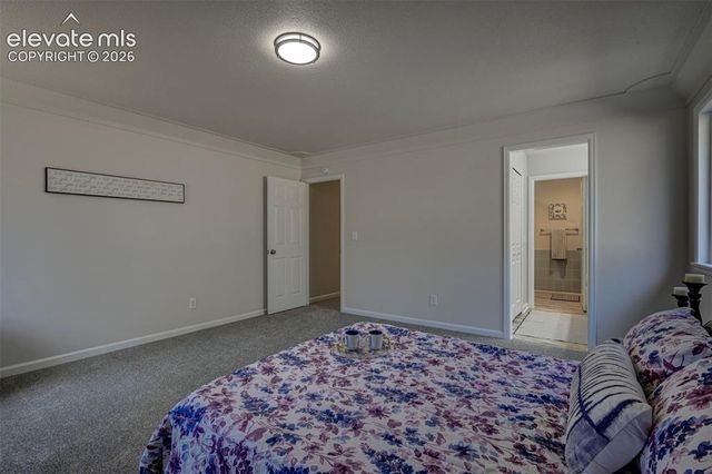 15049 La Jolla Place, Colorado Springs, CO 80921