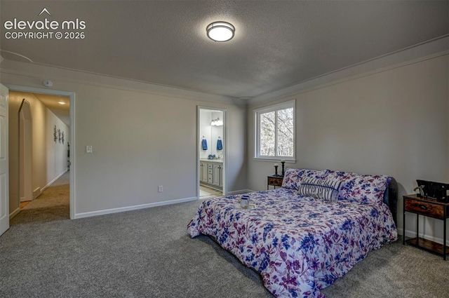15049 La Jolla Place, Colorado Springs, CO 80921