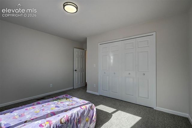 15049 La Jolla Place, Colorado Springs, CO 80921