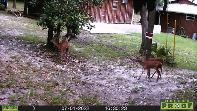 16274 NE 153RD LANE, Fort Mc Coy, FL 32134