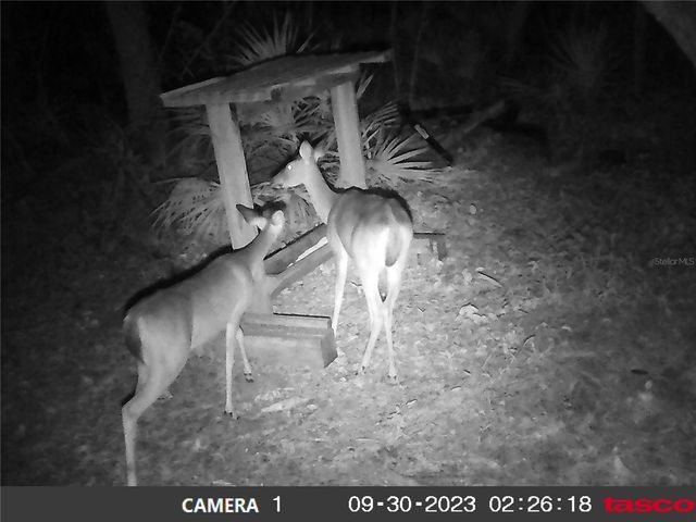 16274 NE 153RD LANE, Fort Mc Coy, FL 32134