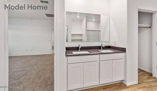 12239 E Rose Frances Drive, Vail, AZ 85641