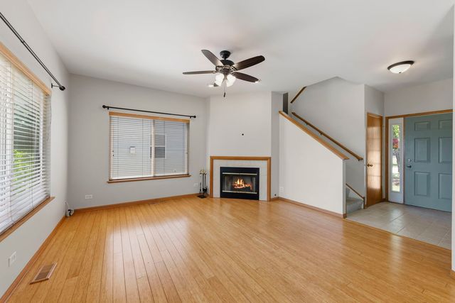 271 Copper Mountain Drive, Gilberts, IL 60136