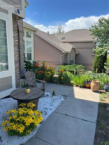 6432 Medicine Springs Drive, Colorado Springs, CO 80923