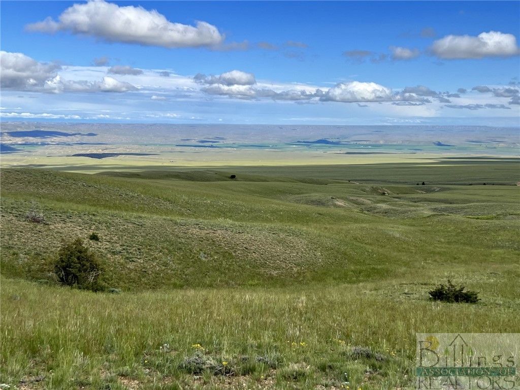 132 Freedom Trail, Belfry, MT 59008 photo 4