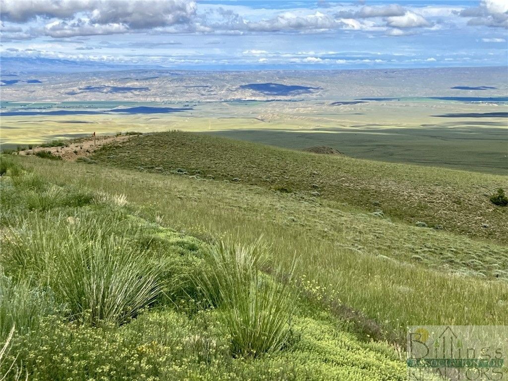 132 Freedom Trail, Belfry, MT 59008 photo 5