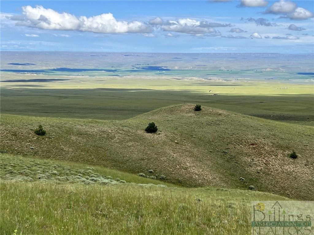 132 Freedom Trail, Belfry, MT 59008 photo 6