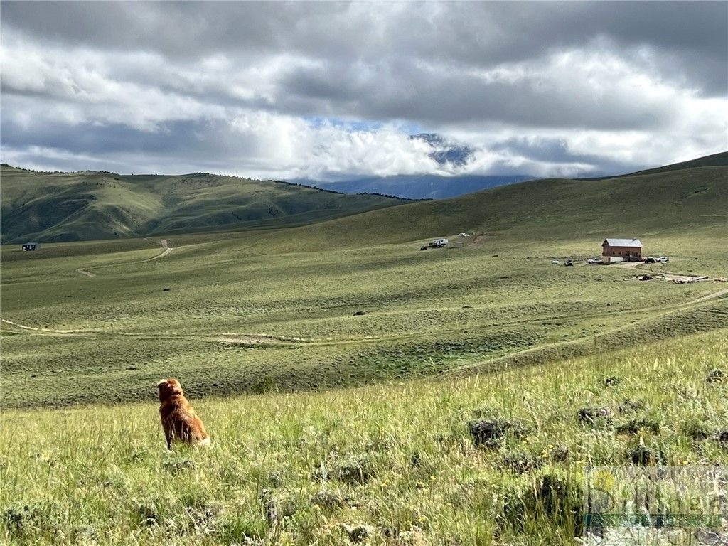 132 Freedom Trail, Belfry, MT 59008 photo 7