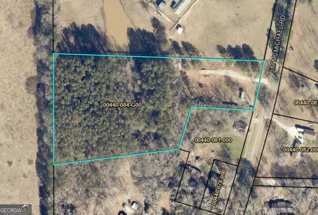 196 Jim McMichael Road, Jackson, GA 30233