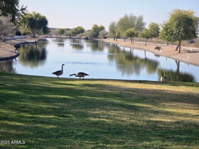 7576 W Quail Avenue, Glendale, AZ 85308