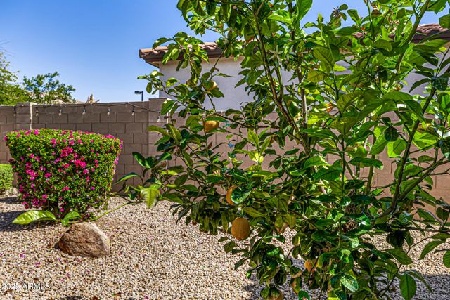 7576 W Quail Avenue, Glendale, AZ 85308