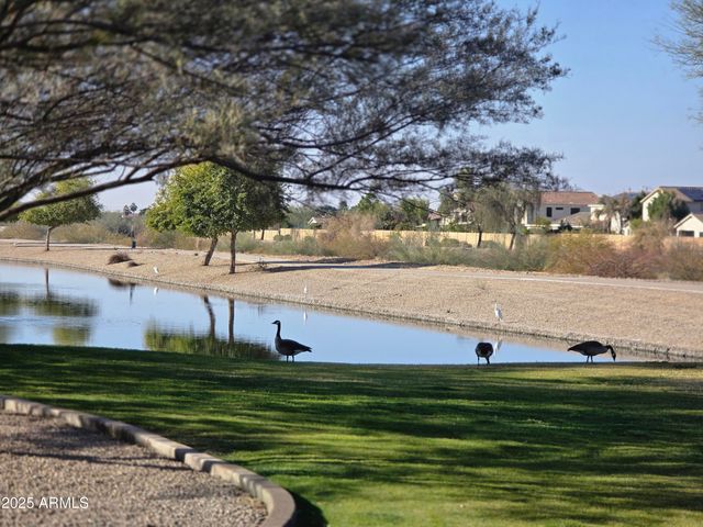 7576 W Quail Avenue, Glendale, AZ 85308