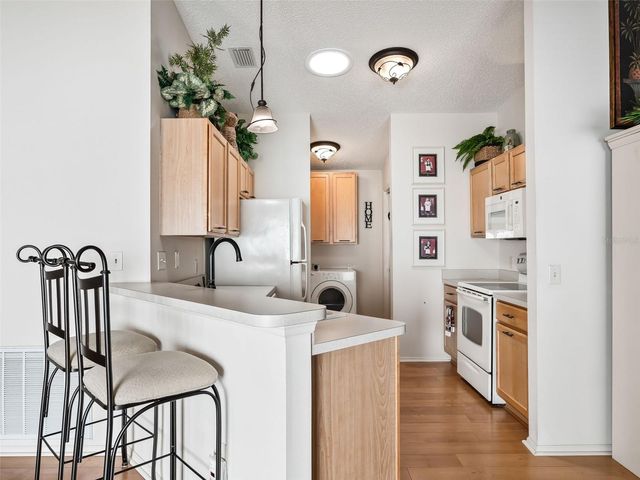 392 ROSE CROFT TERRACE, The Villages, FL 32162