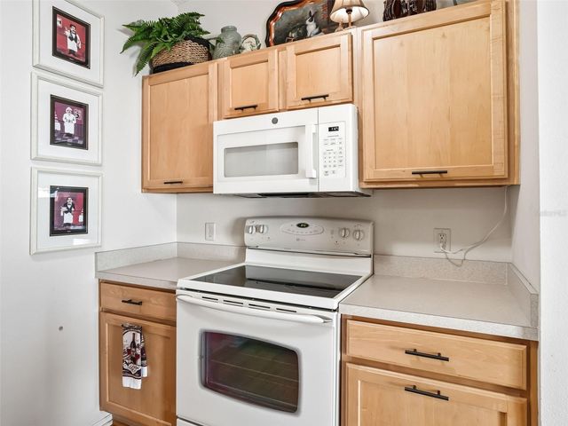 392 ROSE CROFT TERRACE, The Villages, FL 32162