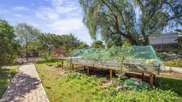 2919 Pioneer Way, Jamul, CA 91935