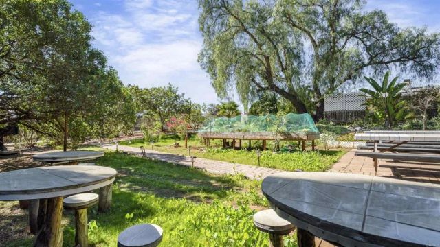 2919 Pioneer Way, Jamul, CA 91935