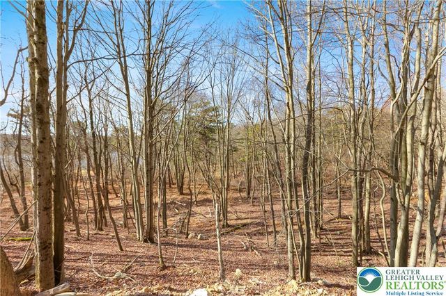 102 Eagle View Run Drive, Tobyhanna Twp, PA 18334