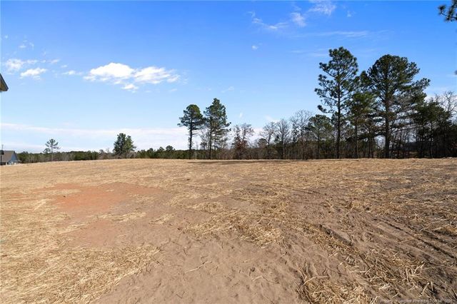 61 Mahogany Court, Cameron, NC 28326