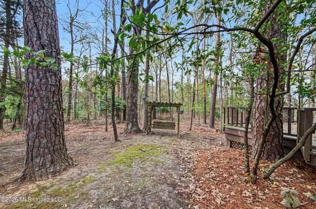 104 Grey Brant Court, Madison, MS 39110