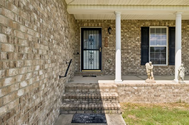 230 Baldy Ford Rd, Lebanon, TN 37090