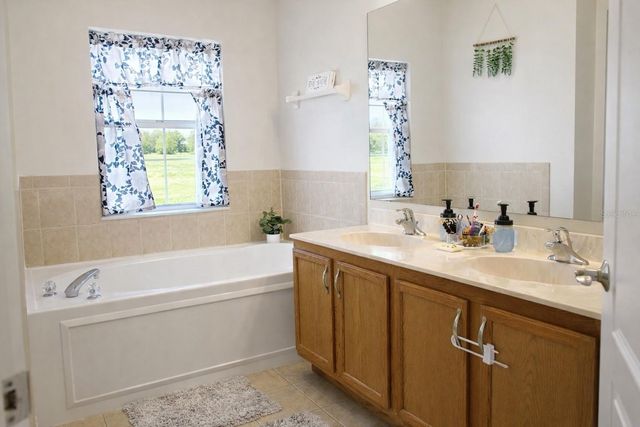 20163 BAY CEDAR AVENUE, Tampa, FL 33647