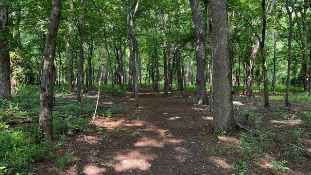 2390 CR 239 Road, Helena, AR 72342