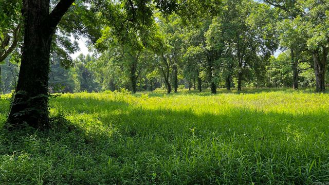 2390 CR 239 Road, Helena, AR 72342