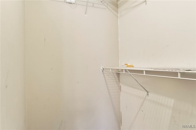 1813 Hackberry 6, Tuscaloosa, AL 35401