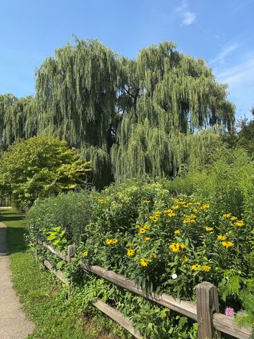 2150 W FOSTER Avenue 2, Chicago, IL 60625