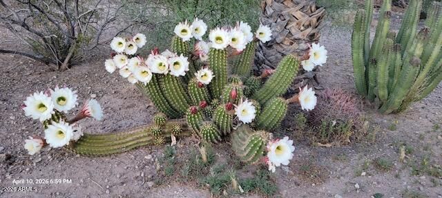 35509 W INDIAN SCHOOL Road, Tonopah, AZ 85354