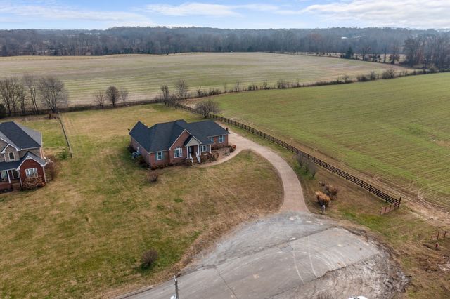 1010 Kamber Leigh Dr, Cedar Hill, TN 37032