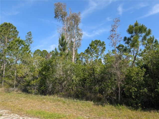 704 ORCHID DRIVE, Indian Lake Estates, FL 33855