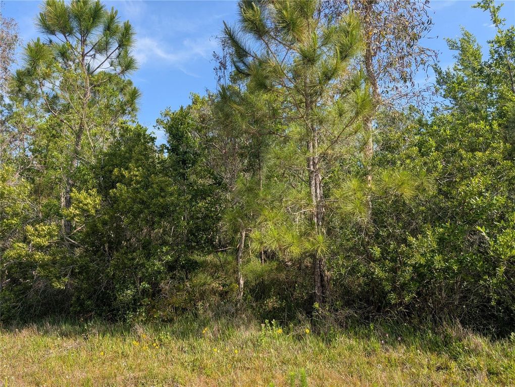 704 ORCHID DRIVE, Indian Lake Estates, FL 33855
