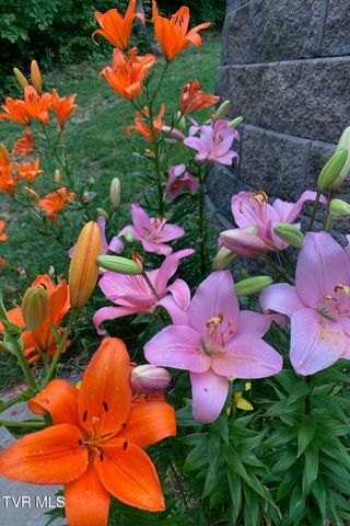 520 Highway 93, Fall Branch, TN 37656