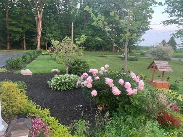 8745 Stebbins Road, Farmersville, NY 14737