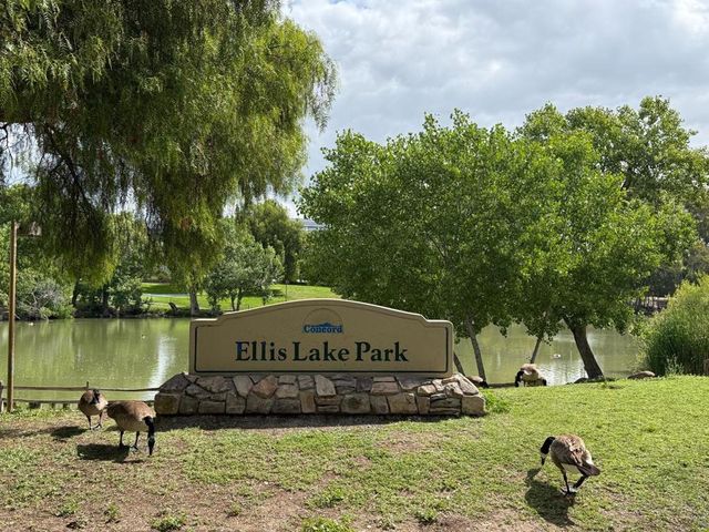 1731 Ellis Street 26, Concord, CA 94520