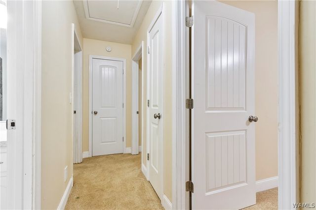 4004- Pelham Heights, Tuscaloosa, AL 35404