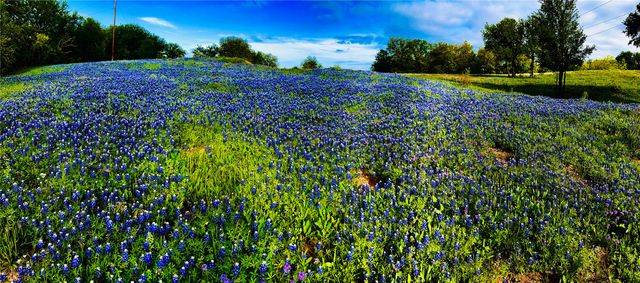 601 County Road 443, De Leon, TX 76444