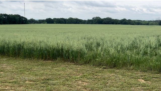 601 County Road 443, De Leon, TX 76444