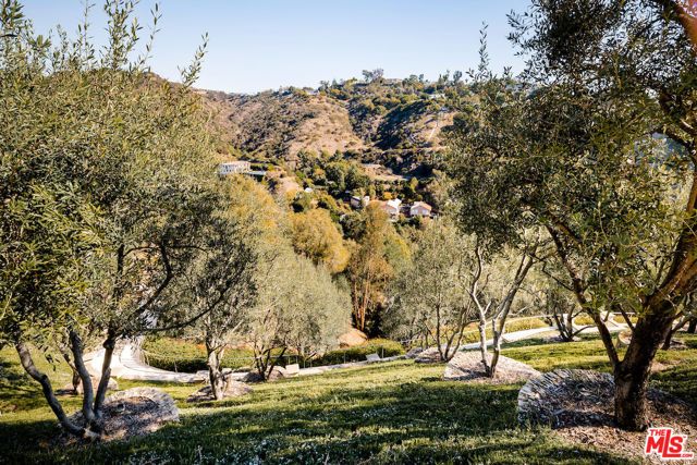 1436 Bella Drive, Beverly Hills, CA 90210