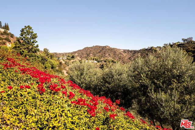 1436 Bella Drive, Beverly Hills, CA 90210