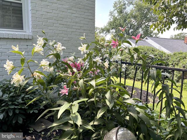 357 SPRAGUE RD, Penn Valley, PA 19072