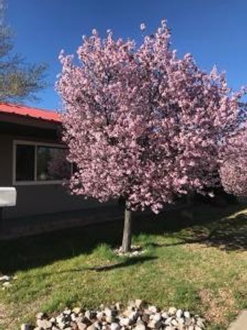 9300 Hannett Avenue NE, Albuquerque, NM 87112