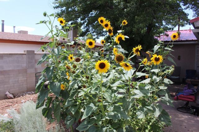 9300 Hannett Avenue NE, Albuquerque, NM 87112