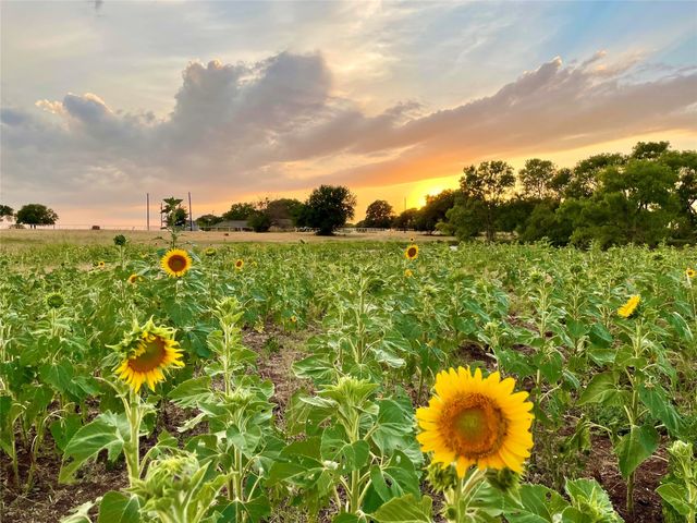 20967 Farm Market 121, Gunter, TX 75058