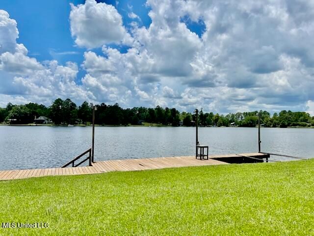 17 Holly Lane, Perkinston, MS 39573