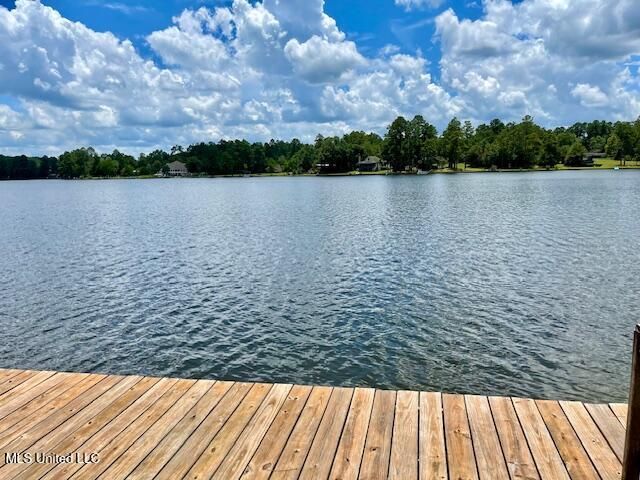 17 Holly Lane, Perkinston, MS 39573